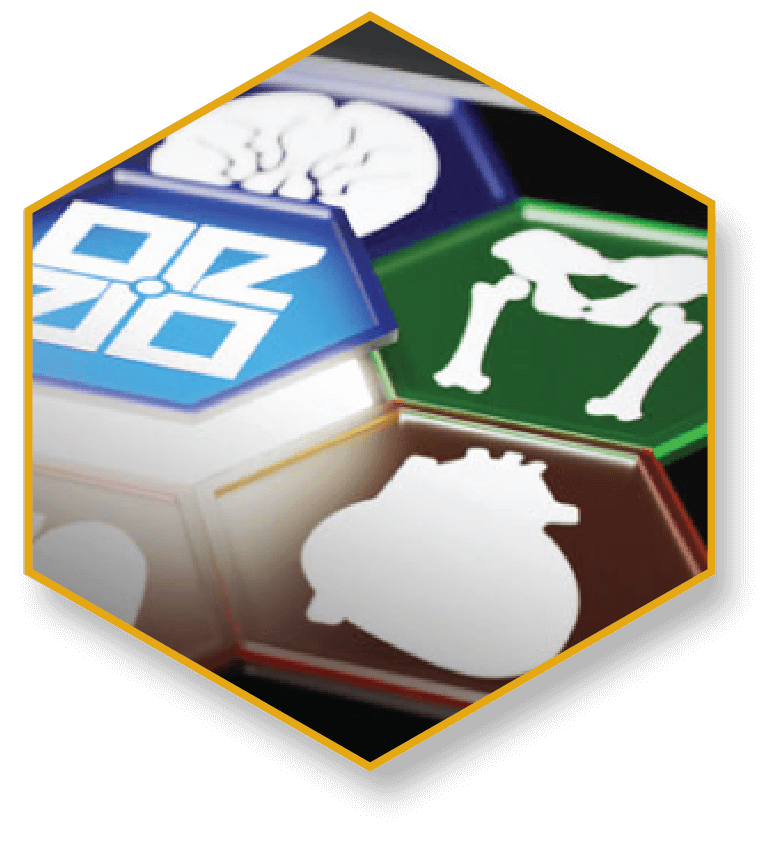 Comprehensive Enterprise Visualization